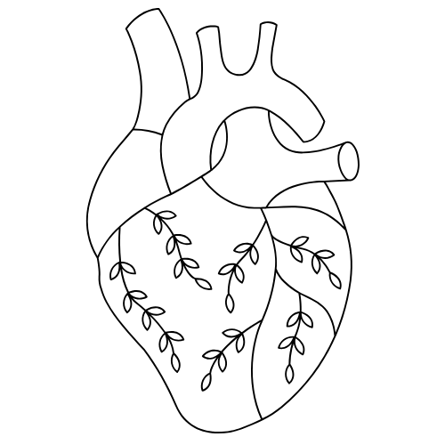 The Playful Adult